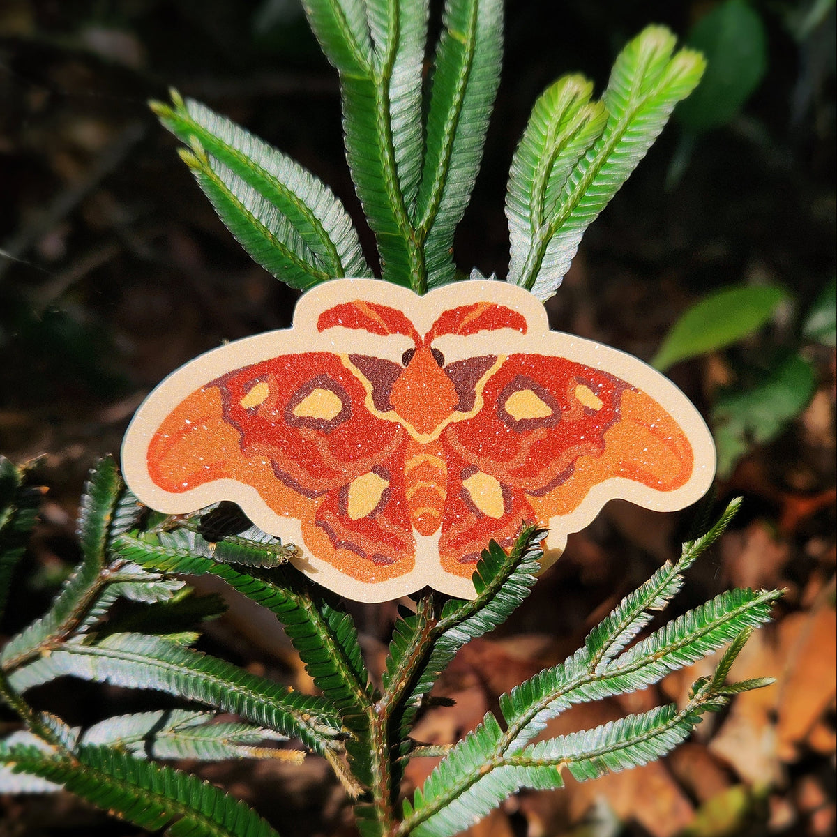 Atlas Moth Sticker
