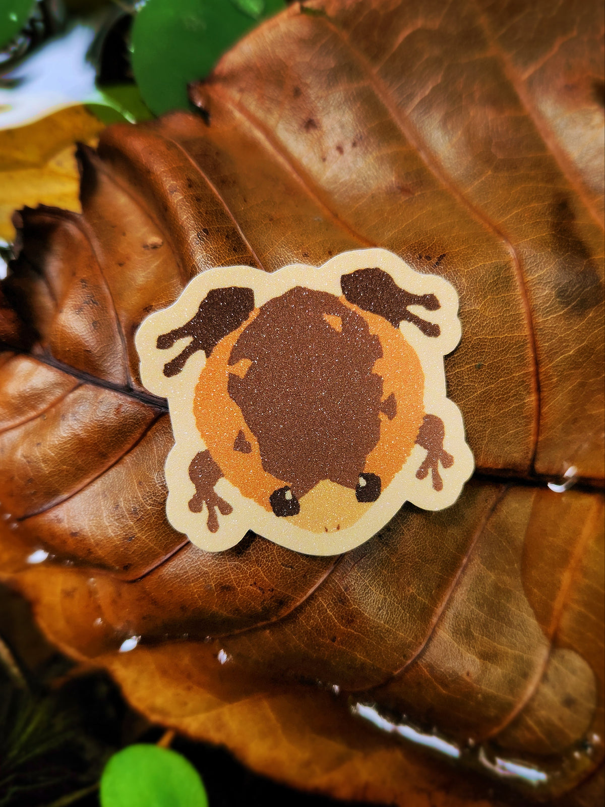 Banded Bullfrog Sticker