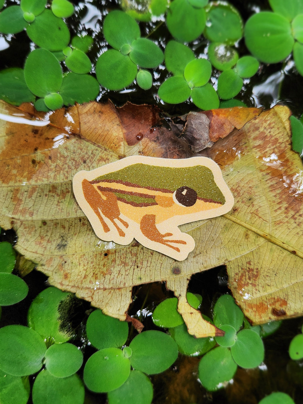 Green Paddy Frog Sticker