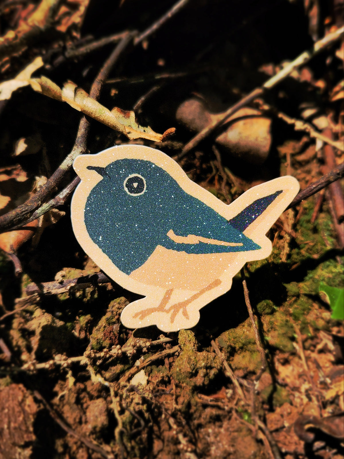 Oriental Magpie Robin Sticker