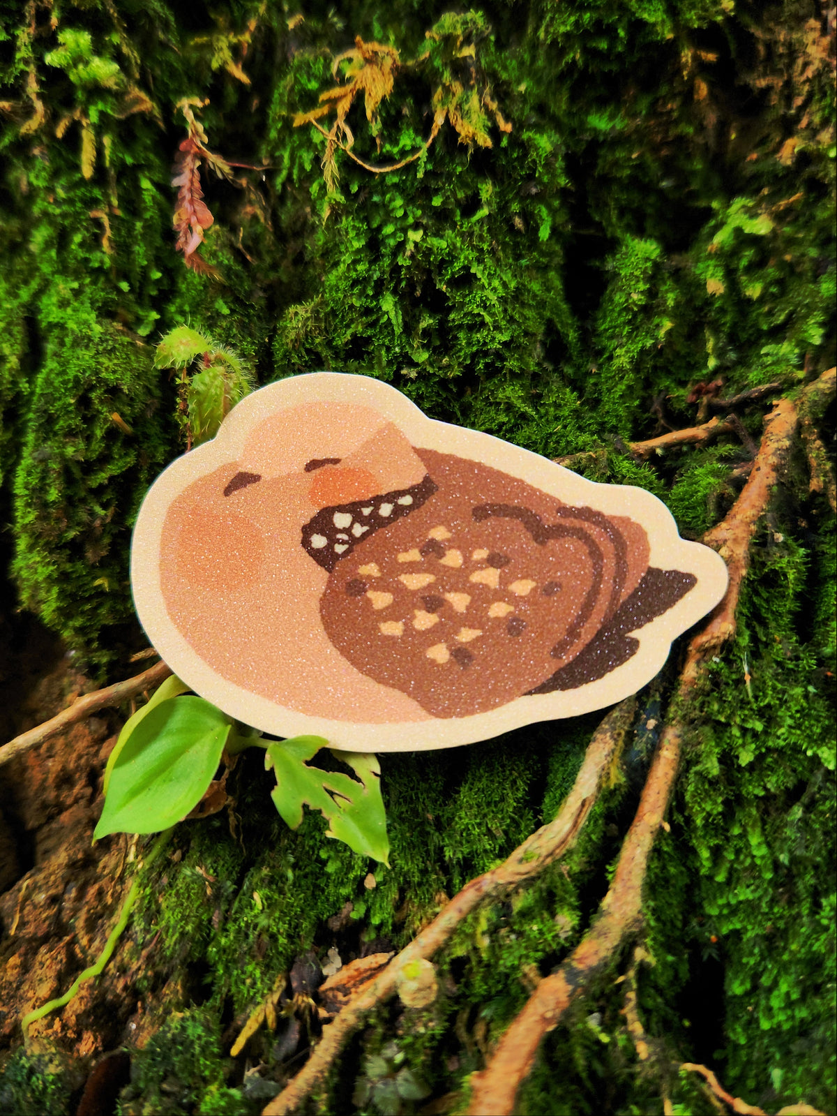 Spotted Dove Sticker