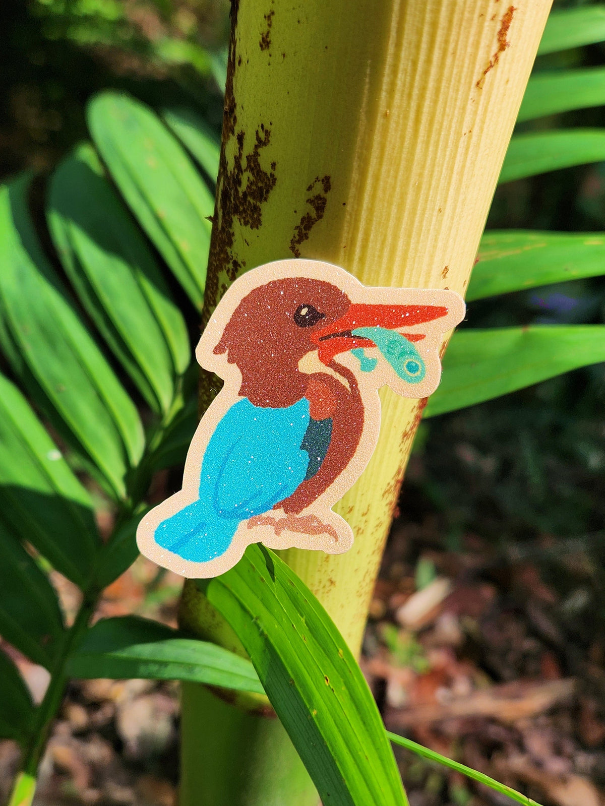 White-throated Kingfisher