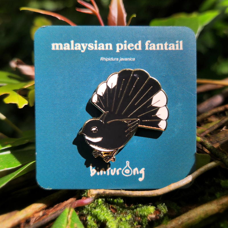 Malaysian Pied Fantail Enamel Pin