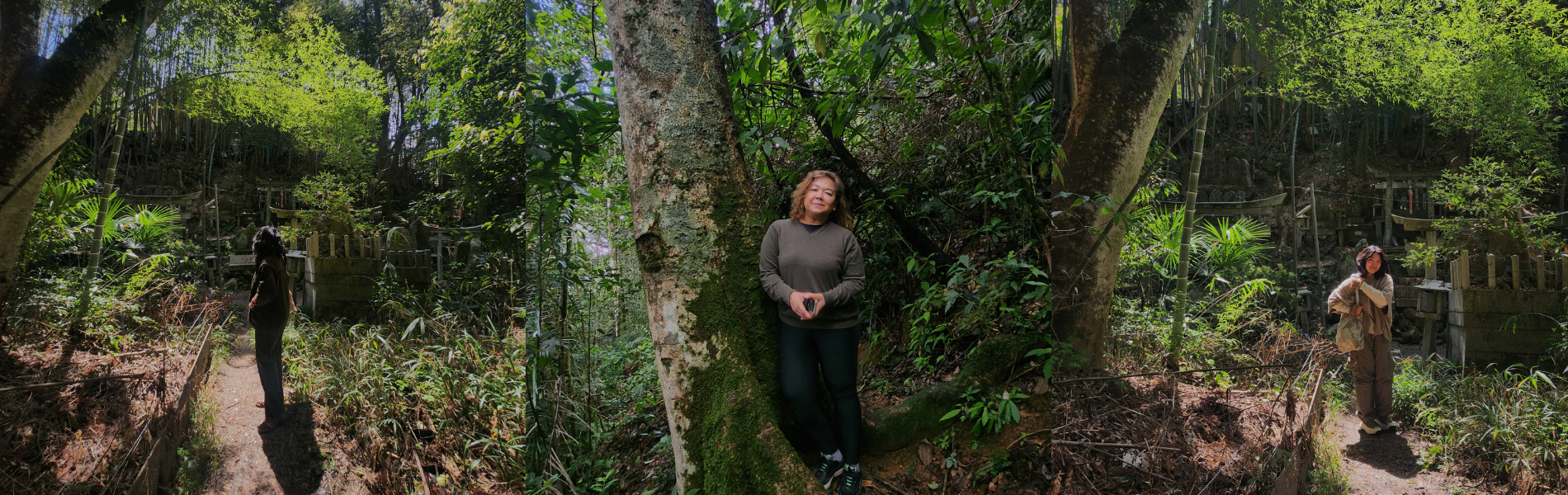 slider image slider_item_t4c34D