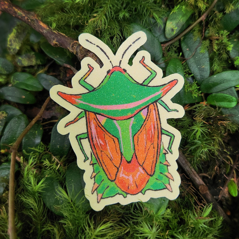 Giant Shield Bug Sticker