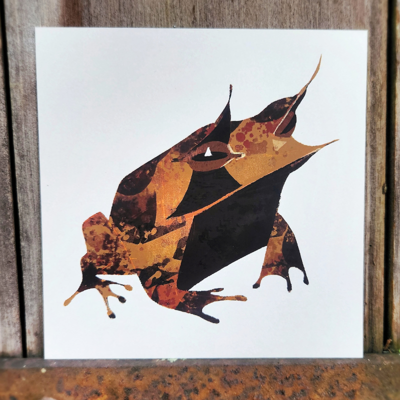 Malayan Horned Frog Print