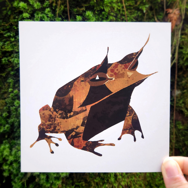 Malayan Horned Frog Print