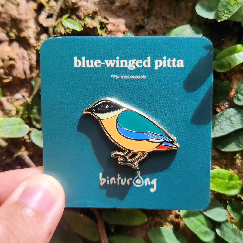 Blue-winged Pitta Enamel Pin