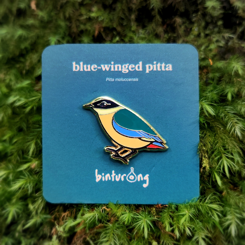 Blue-winged Pitta Enamel Pin